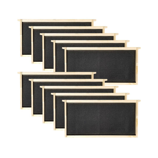 Mellivo Deep Frames with Black Foundation - 10 Pack