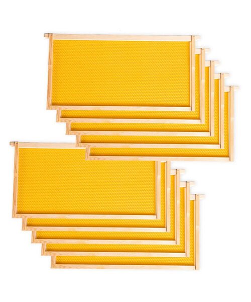 Deep Frame NAT Foundation