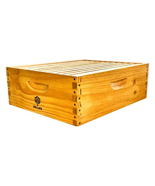 Med Honey Super w/Frames