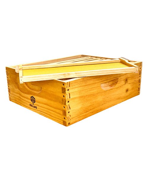 Med Honey Super w/Frames