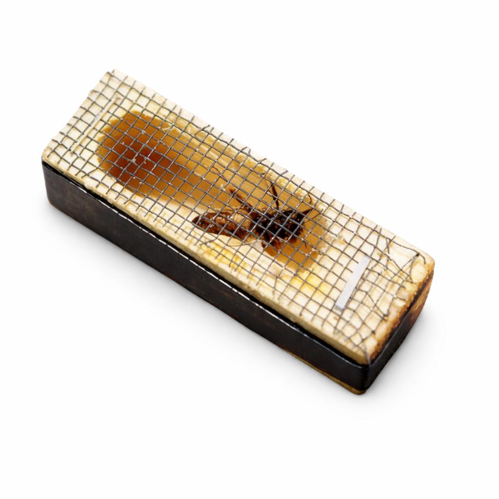 3lb Honeybee Package