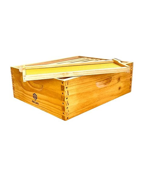 Medium Honey Super Bee Box with Frames, 16.25″ x 20″ x 6.625″ 4